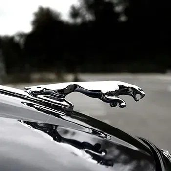 Jaguar Repair and Service in Mishawaka, IN